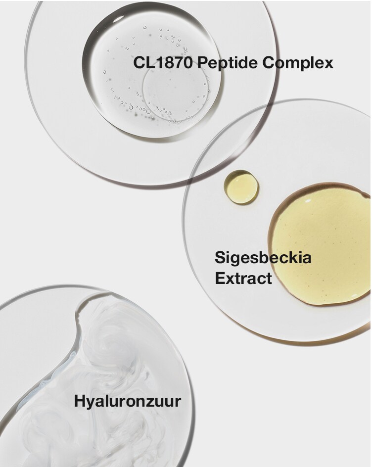 Sigesbeckia Extract