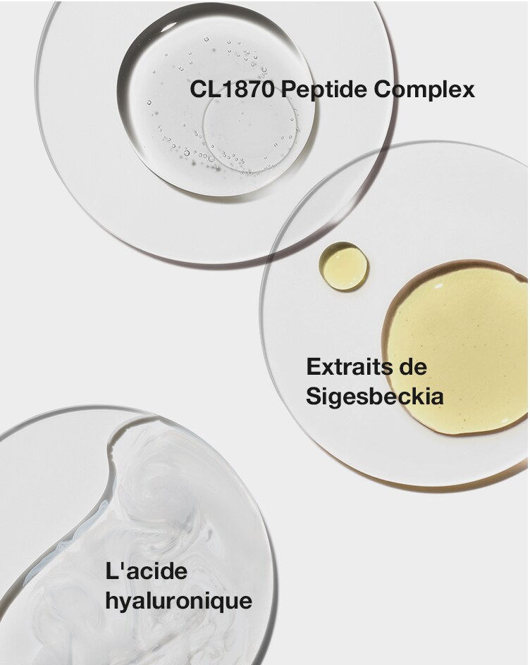 Sigesbeckia Extract