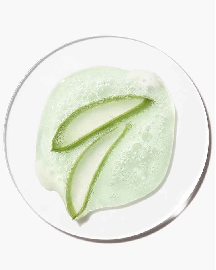 Ingrédient actif: bio-ferment d’aloé vera.