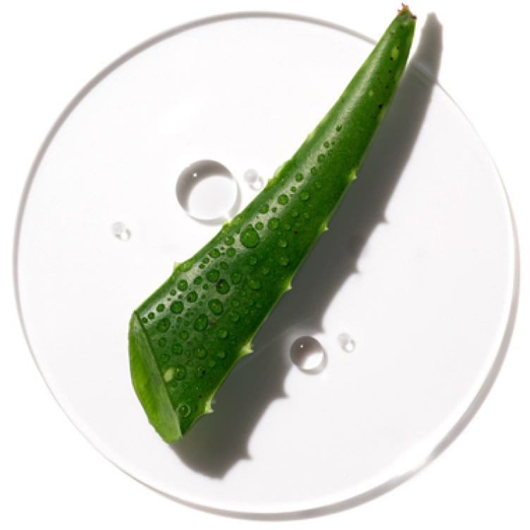 L'eau activée d'aloe